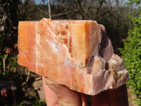 Natural New Sunset Orange Calcite Specimens  x 12 From Spitzkop, Namibia