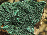 Natural Small to Large Crystalline Botryoidal Malachite on Matrix Specimens  x 11 From Congo - TopRock