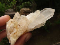 Natural Selected Pineapple Quartz Crystals  x 24 From Madagascar - TopRock