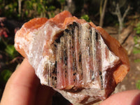 Natural New Sunset Orange Calcite Specimens  x 12 From Spitzkop, Namibia