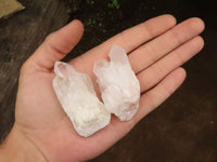 Natural Selected Pineapple Quartz Crystals  x 24 From Madagascar - TopRock