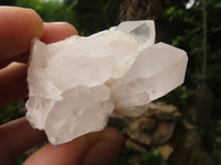 Natural Selected Pineapple Quartz Crystals  x 24 From Madagascar - TopRock