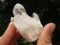 Natural Selected Pineapple Quartz Crystals  x 24 From Madagascar - TopRock