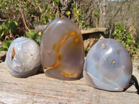 Polished Banded Agate Standing Free Forms  x 3 From West Coast, Madagascar