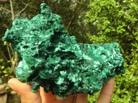 Natural Chatoyant Silky Malachite Specimens  x 2 From Congo - Toprock Gemstones and Minerals 