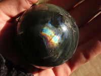 Polished Small Labradorite Spheres  x 6 From Tulear, Madagascar