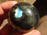 Polished Small Labradorite Spheres  x 6 From Tulear, Madagascar