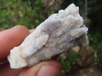 Natural Drusy Quartz Coated Calcite Pseudomorph Specimens  x 35 From Alberts Mountain, Lesotho - TopRock