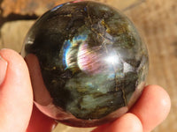 Polished Small Labradorite Spheres  x 6 From Tulear, Madagascar