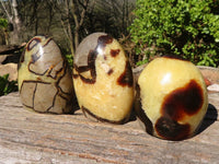 Polished Septerye Standing Free Forms x 3 From Mahajanga, Madagascar