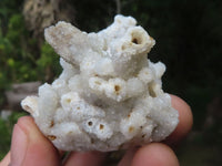 Natural Drusy Quartz Coated Calcite Pseudomorph Specimens  x 35 From Alberts Mountain, Lesotho - TopRock