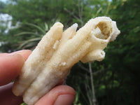 Natural Drusy Quartz Coated Calcite Pseudomorph Specimens  x 35 From Alberts Mountain, Lesotho - TopRock