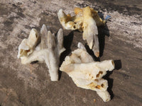 Natural Drusy Quartz Coated Calcite Pseudomorph Specimens  x 35 From Alberts Mountain, Lesotho - TopRock