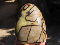 Polished Septerye Standing Free Forms x 3 From Mahajanga, Madagascar