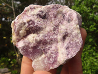 Natural Purple Lepidolite Cobbed Specimens  x 12 From Namibia - Toprock Gemstones and Minerals 