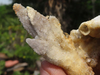 Natural Drusy Quartz Coated Calcite Pseudomorph Specimens  x 35 From Alberts Mountain, Lesotho - TopRock