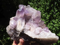 Natural Jacaranda Amethyst Clusters  x 2 From Zambia - TopRock