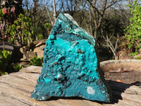 Natural Silica Chrysocolla Specimens x 2 From Congo