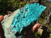 Natural Silica Chrysocolla Specimens x 2 From Congo