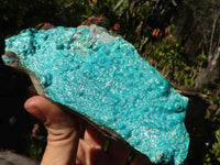 Natural Silica Chrysocolla Specimens x 2 From Congo