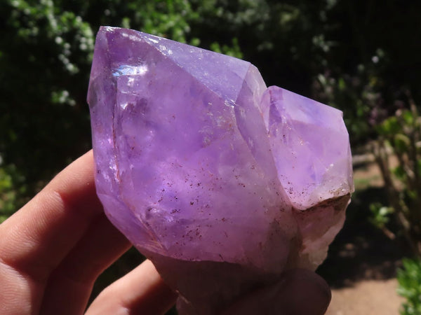 Natural Jacaranda Amethyst Clusters  x 3 From Zambia - TopRock