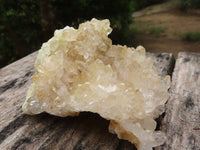 Natural Golden Limonite / Lemonite Quartz Clusters  x 12 From Zambia - Toprock Gemstones and Minerals 