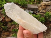 Natural Large Quartz Crystals  x 6 From Zambia - Toprock Gemstones and Minerals 