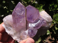 Natural Jacaranda Amethyst Clusters  x 3 From Zambia - TopRock