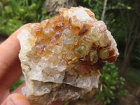 Natural Golden Limonite / Lemonite Quartz Clusters  x 12 From Zambia - Toprock Gemstones and Minerals 