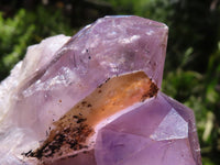 Natural Jacaranda Amethyst Clusters  x 3 From Zambia - TopRock