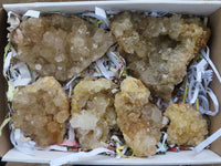 Natural Clear Limonite / Lemonite Quartz With Goethite Inclusions  x 6 From Solwezi, Zambia - TopRock