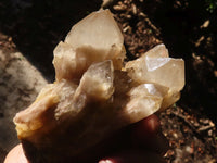 Natural Cascading Smokey Quartz Clusters x 3 From Luena, Congo