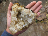 Natural Clear Limonite / Lemonite Quartz With Goethite Inclusions  x 6 From Solwezi, Zambia - TopRock