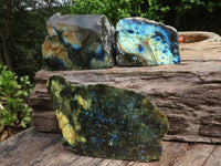 Polished One Side Polished Labradorite Slices  x 3 From Madagascar - Toprock Gemstones and Minerals 