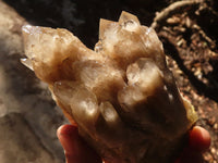 Natural Cascading Smokey Quartz Clusters x 3 From Luena, Congo