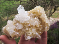 Natural Clear Limonite / Lemonite Quartz With Goethite Inclusions  x 6 From Solwezi, Zambia - TopRock