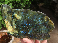 Polished One Side Polished Labradorite Slices  x 3 From Madagascar - Toprock Gemstones and Minerals 