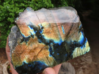 Polished One Side Polished Labradorite Slices  x 3 From Madagascar - Toprock Gemstones and Minerals 