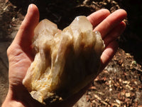 Natural Cascading Smokey Quartz Clusters x 3 From Luena, Congo