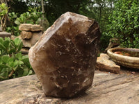 Polished Giant Window Smokey Quartz Display Piece x 1 From Madagascar - TopRock