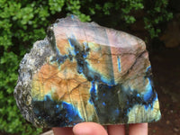 Polished One Side Polished Labradorite Slices  x 3 From Madagascar - Toprock Gemstones and Minerals 