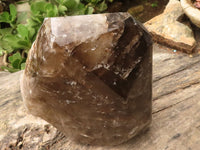 Polished Giant Window Smokey Quartz Display Piece x 1 From Madagascar - TopRock