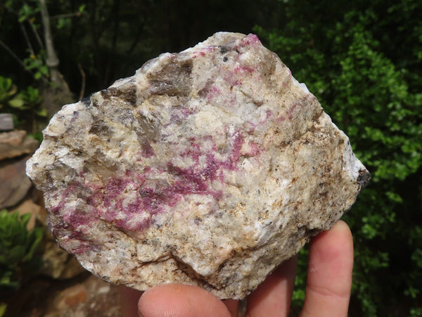 Natural Rubellite In Feldspar Quartz & Mica Schist Cobbed Pieces  x 21 From Namibia - Toprock Gemstones and Minerals 