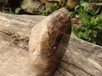 Polished Giant Window Smokey Quartz Display Piece x 1 From Madagascar - TopRock