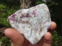 Natural Rubellite In Feldspar Quartz & Mica Schist Cobbed Pieces  x 21 From Namibia - Toprock Gemstones and Minerals 