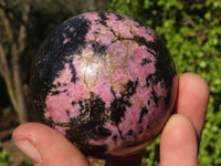 Polished Pink & Black Rhodonite Spheres x 3 From Madagascar