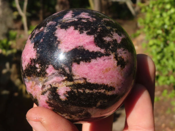 Polished Pink & Black Rhodonite Spheres x 3 From Madagascar