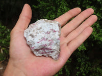 Natural Rubellite In Feldspar Quartz & Mica Schist Cobbed Pieces  x 21 From Namibia - Toprock Gemstones and Minerals 