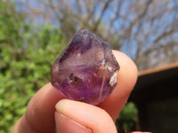 Natural Mini Smokey Amethyst Crystals  x 70 From Chiredzi, Zimbabwe - Toprock Gemstones and Minerals 