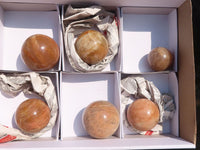 Polished Flashy Peach Moonstone Spheres  x 6 From Madagascar - Toprock Gemstones and Minerals 